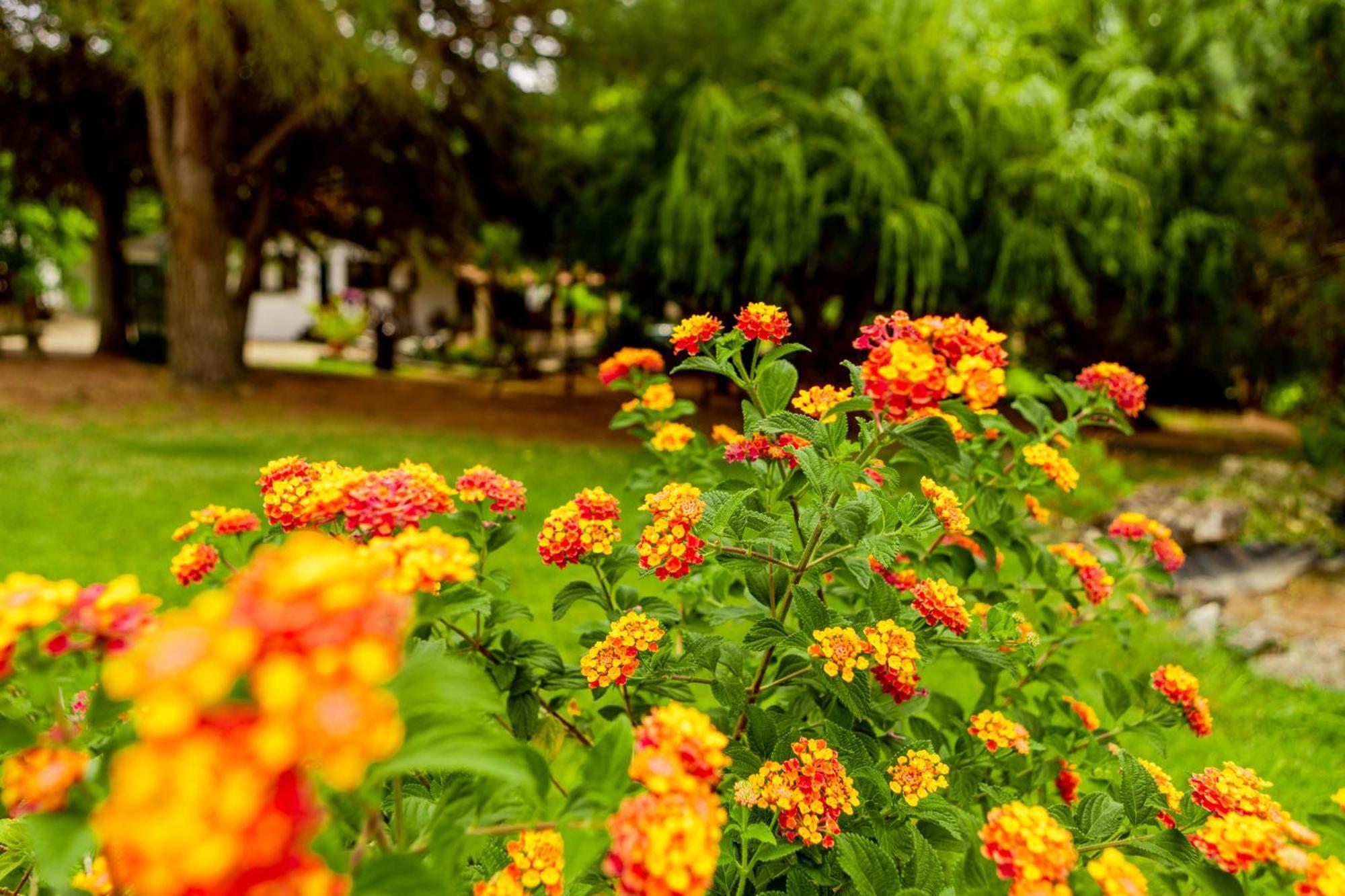 Quinta O Refugio Villa Azambuja