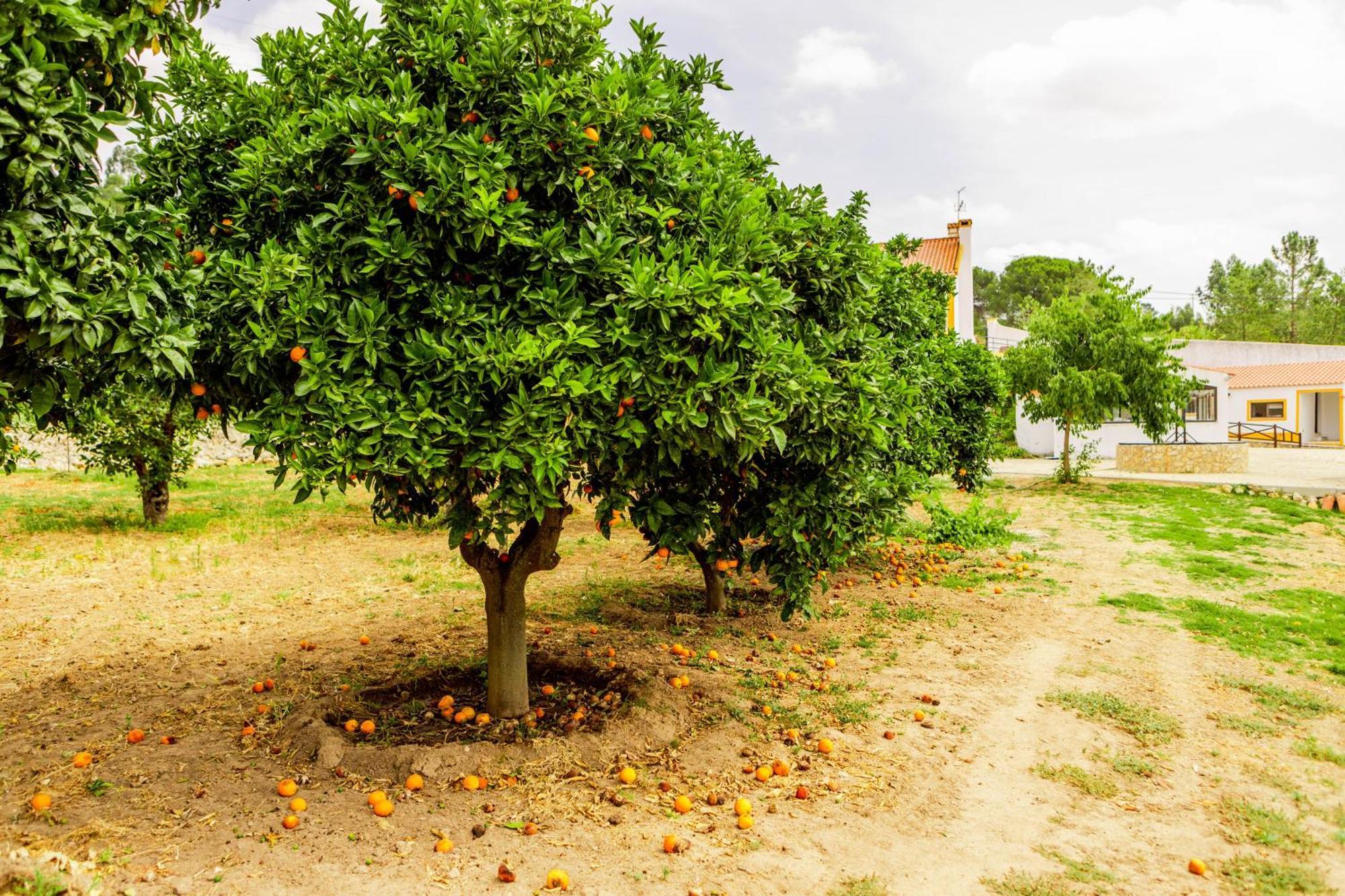 Villa Quinta O Refugio