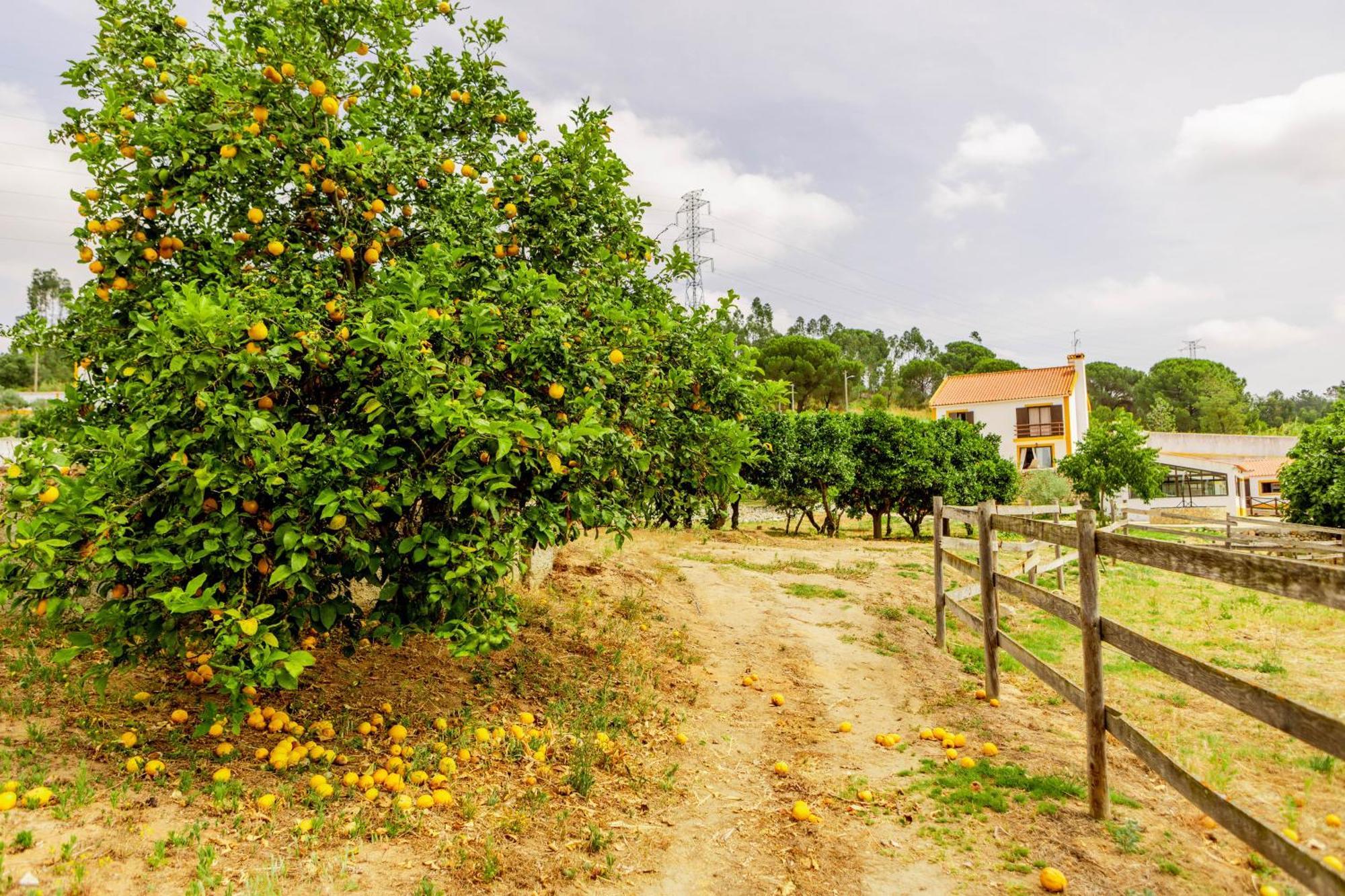 Villa Quinta O Refugio Azambuja
