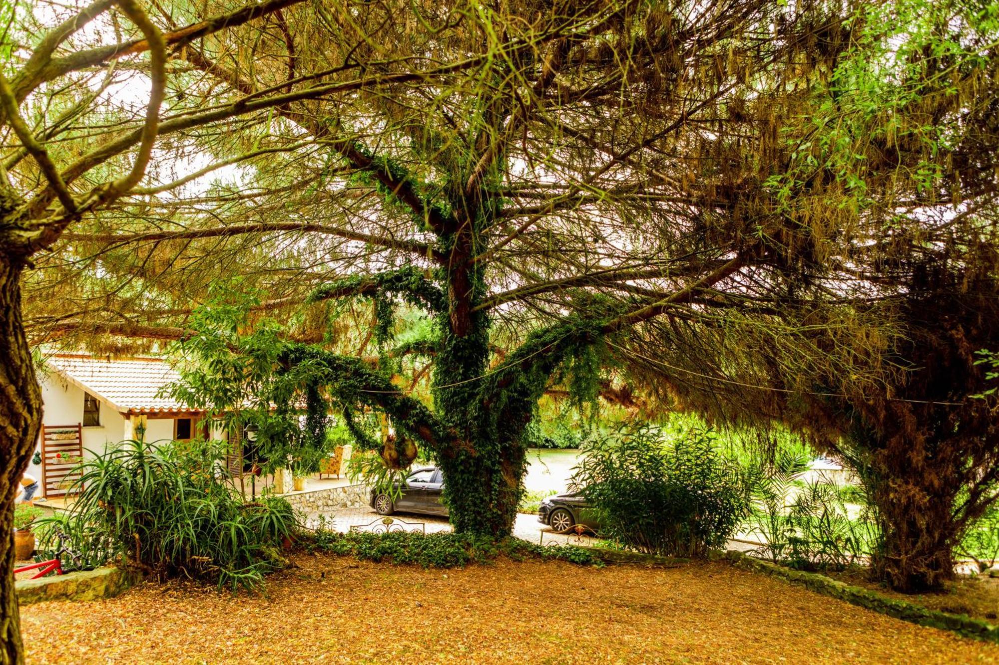 Villa Quinta O Refugio *
